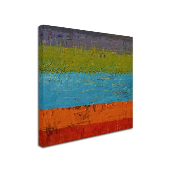 Michelle Calkins 'Wetlands' Canvas Art,14x14